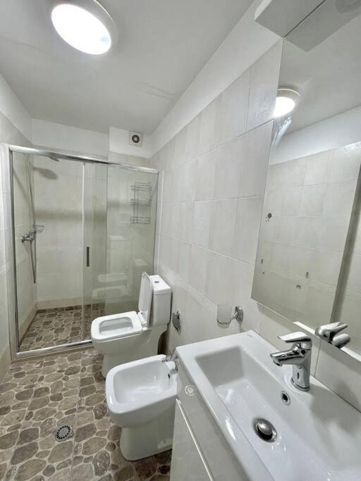 Appartamento Flat In The Center Tirana